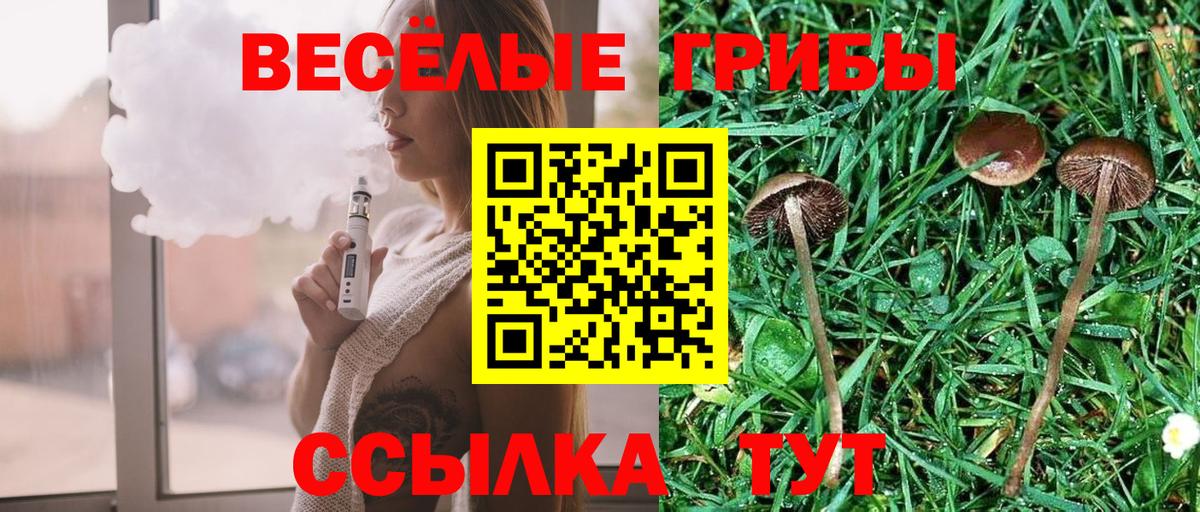 Псилоцибиновые грибы GOLDEN TEACHER Сорочинск