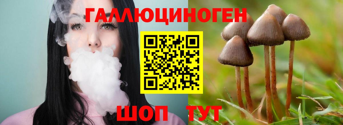 Псилоцибиновые грибы Magic Shrooms  Вход с VPN  Галлюциногенные грибы Psilocybe  Сорочинск 